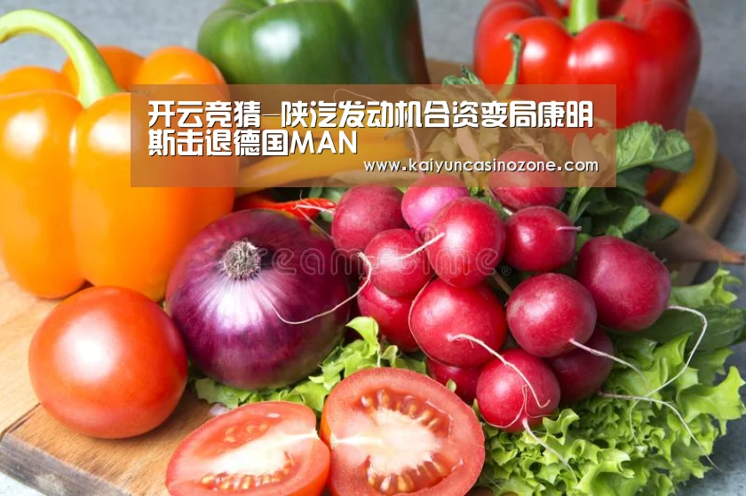 开云竞猜-陕汽发动机合资变局康明斯击退德