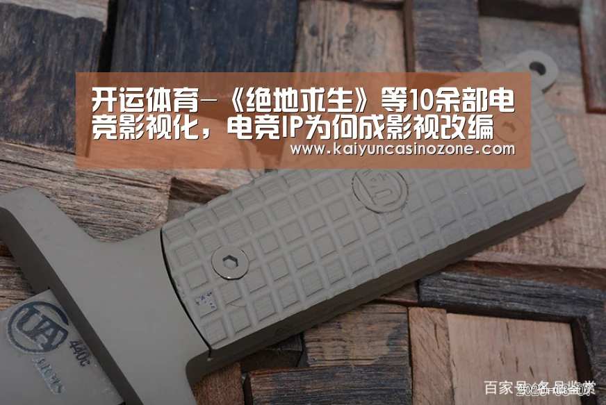 开运体育-《绝地求生》等10余部电竞影视化,电竞IP为何成影视改编新宠?(图1) 开运赛事