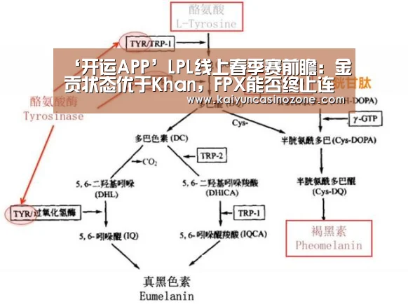 开运APP