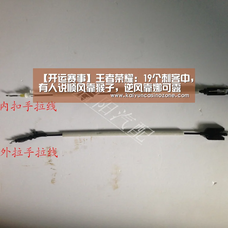 【开运赛事】王者荣耀:19个刺客中,有人说顺风靠猴子,逆风靠娜可露露,绝境靠谁?(图2) 开运体育